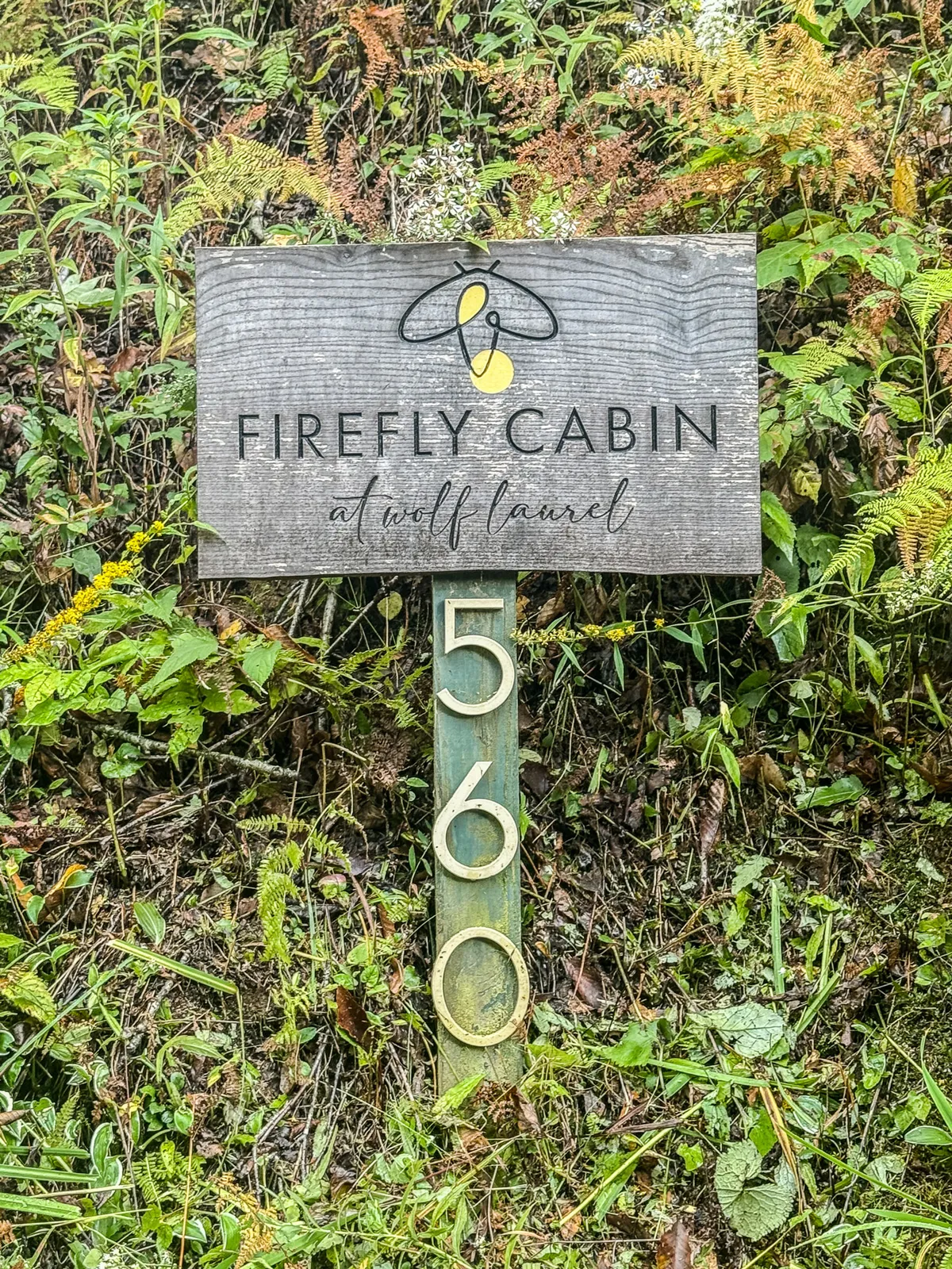 A peaceful exterior shot featuring a rustic cabin sign reading 'Firefly Cabin' nestled amongst lush greenery, hinting at tranquil mornings and evenings close to nature. The surrounding foliage and gentle light evoke a sense of seclusion and harmony with the outdoors.