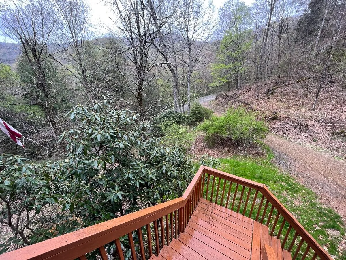 A view from the cabin’s stairs reveals lush greenery and a winding road, inviting exploration of the surrounding forest. The setting is tranquil, with dappled sunlight and hints of adventure just beyond the doorstep.